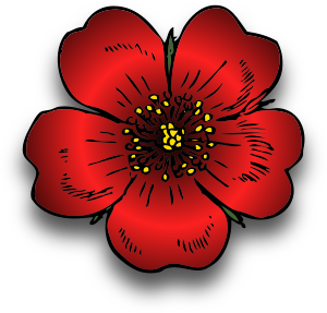 Una Rosa Roja en formato PNG